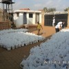 Gana 2012