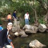 Dnya'dan Kur'an Sesleri Programmz
