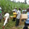 Uganda 2013