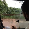 Gei Fotolar