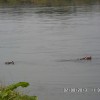 Uganda 2013