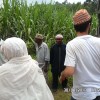 Pakistan lke Tantm Program
