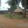 Uganda 2013