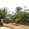 2.Tanma Program - Afrika