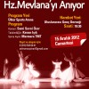 Program Afilerimiz