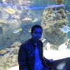 stanbul Akvaryum Gezisi