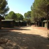 Uluslararas Genlik Kamp