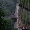 Gana 2012