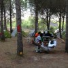 Uluslararas Genlik Kamp