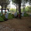 Uluslararas Genlik Kamp
