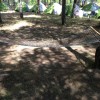 Uluslararas Genlik Kamp