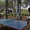 Uluslararas Genlik Kamp