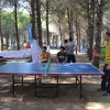 Uluslararas Genlik Kamp