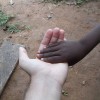 Gana 2012