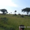Uganda 2013