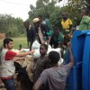 Uganda 2013