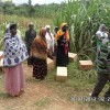 Uganda 2013