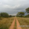 Uganda 2013