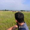 Uganda 2013