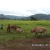 Uganda 2013